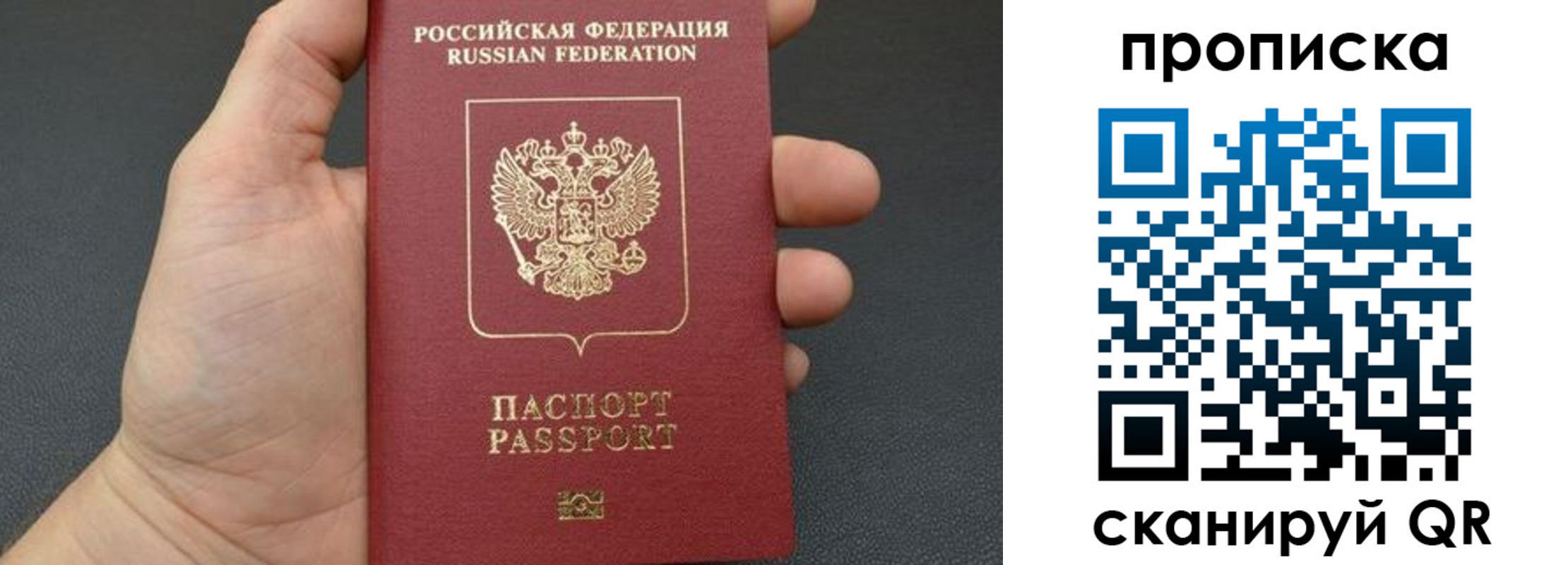 временная прописка в Купино